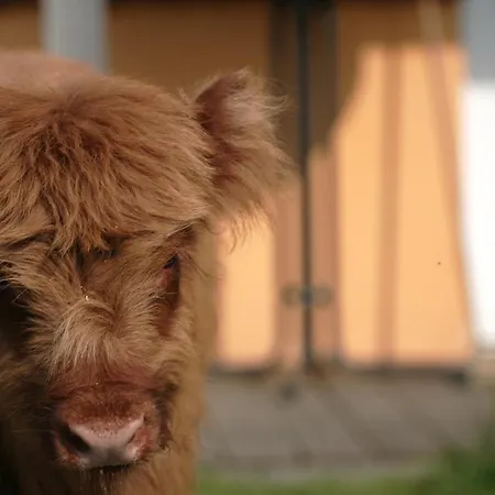 Apartment Rech Hof Urlaub Auf Dem Bauernhof Schalkenbach