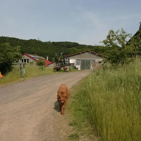 Rech Hof Urlaub Auf Dem Bauernhof Appartement