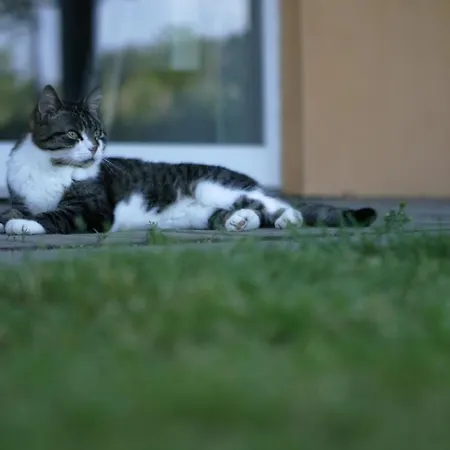 Apartment Rech Hof Urlaub Auf Dem Bauernhof *