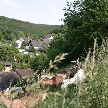 Rech Hof Urlaub Auf Dem Bauernhof * Schalkenbach