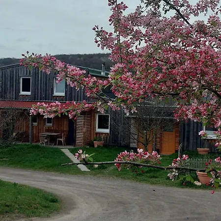 公寓 Rech Hof Urlaub Auf Dem Bauernhof *