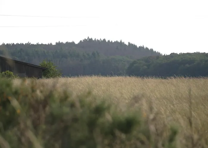Rech Hof Urlaub Auf Dem Bauernhof Apartmán