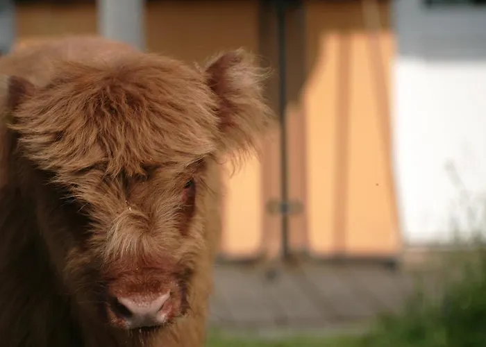 Apartmán Rech Hof Urlaub Auf Dem Bauernhof Schalkenbach