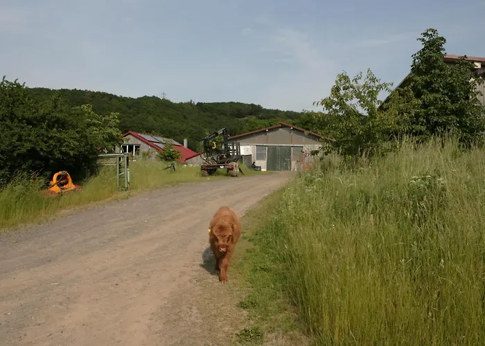 Rech Hof Urlaub Auf Dem Bauernhof Apartmán