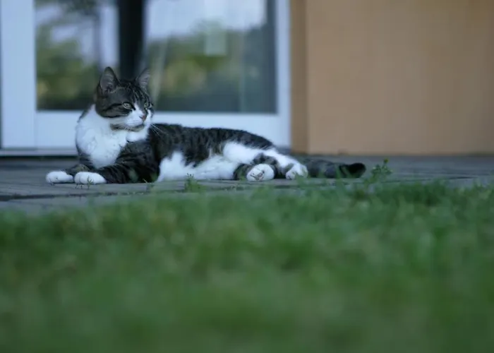 Apartmán Rech Hof Urlaub Auf Dem Bauernhof *