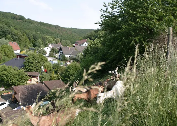 Rech Hof Urlaub Auf Dem Bauernhof * Schalkenbach