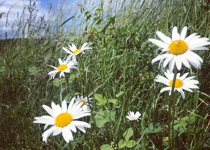 Apartmán Rech Hof Urlaub Auf Dem Bauernhof *