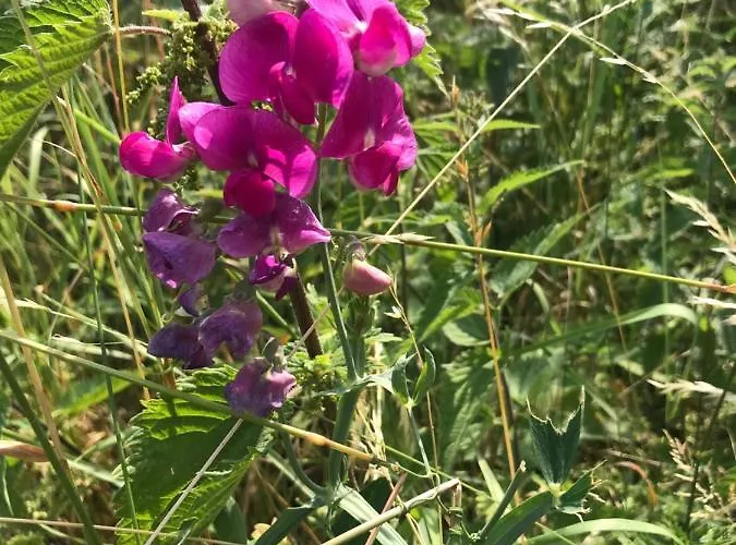 Apartmán Rech Hof Urlaub Auf Dem Bauernhof